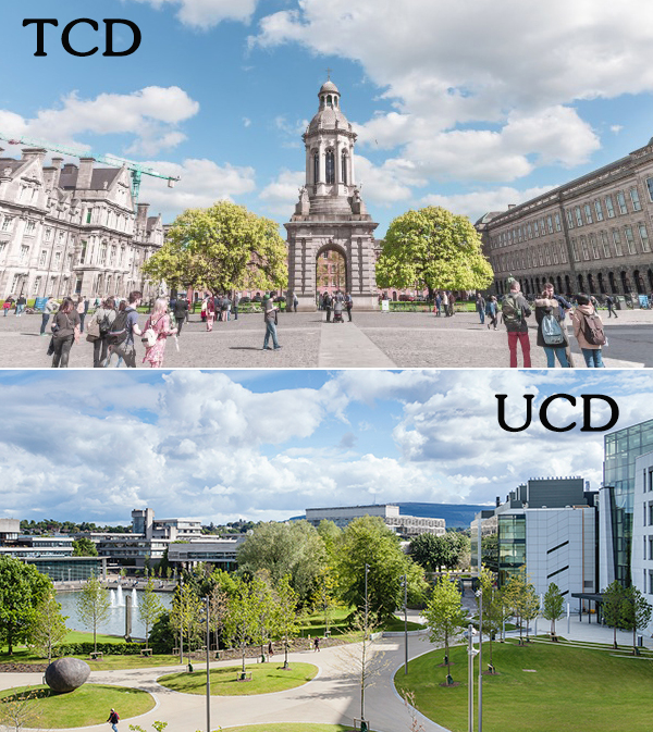 TCD-UCD组合图.jpg