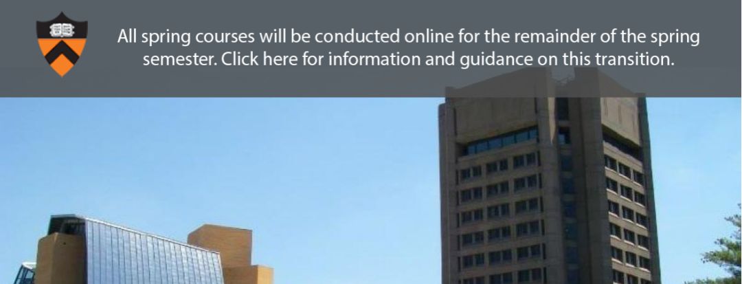 普林斯顿大学数学专业.jpg