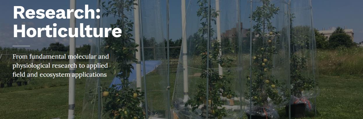 分析 Horticulture.jpg