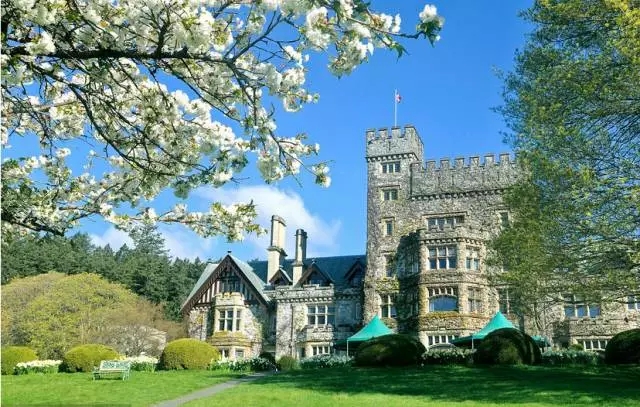 温哥华岛大学1.webp.jpg