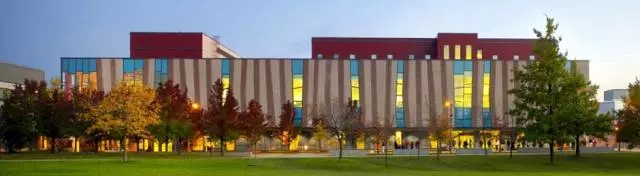 约克大学学院.webp.jpg