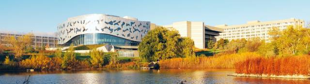 约克大学学院2.jpg