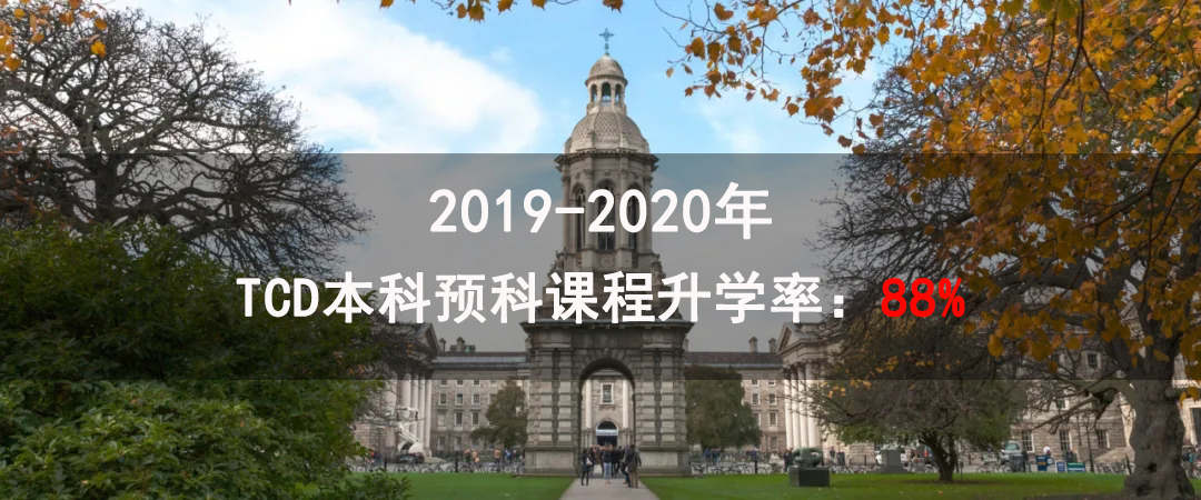 TCD本科预科课程升学率：88%.jpg