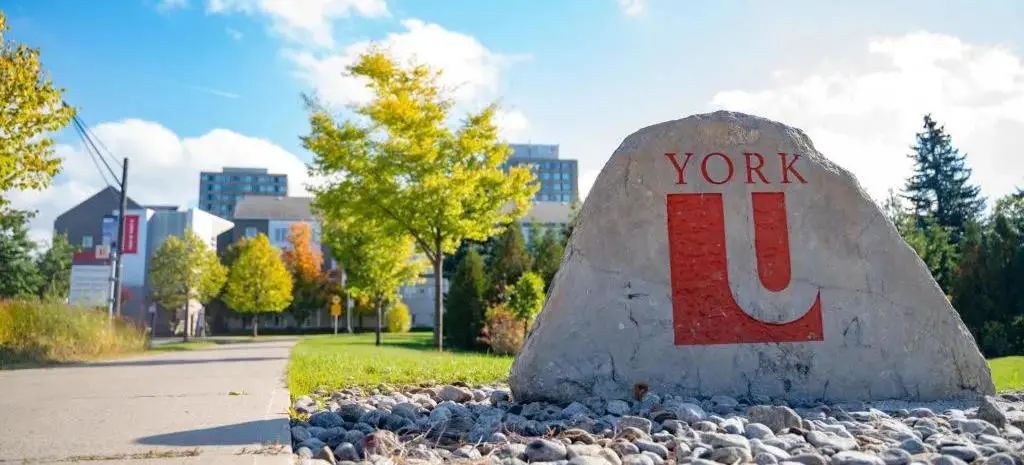 加拿大约克大学 (1).jpg