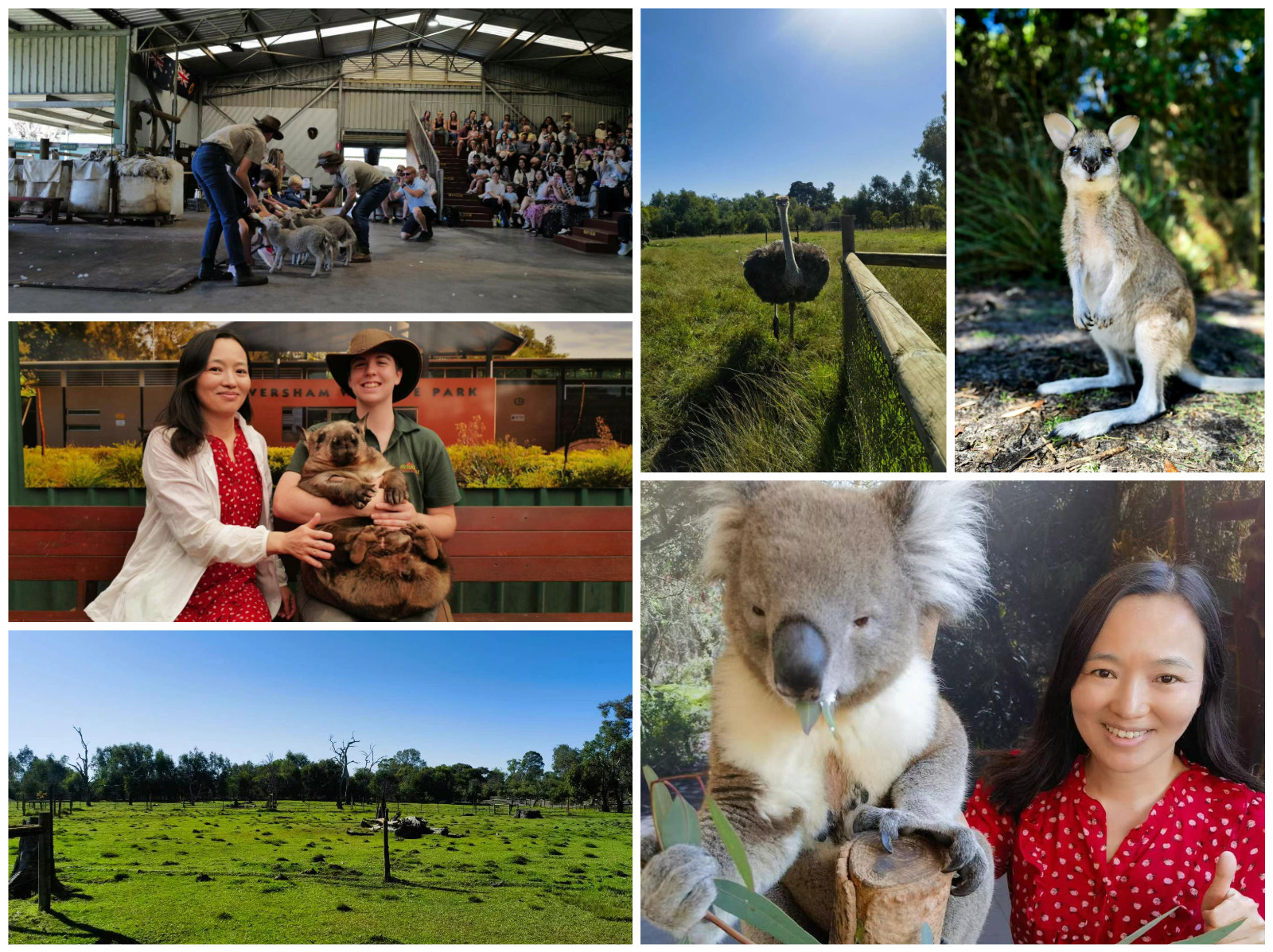上午去了Caversham Wildlife Park：.JPG